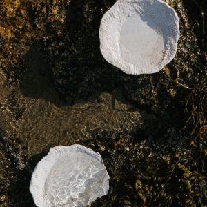 Lunaria Oyster Dish